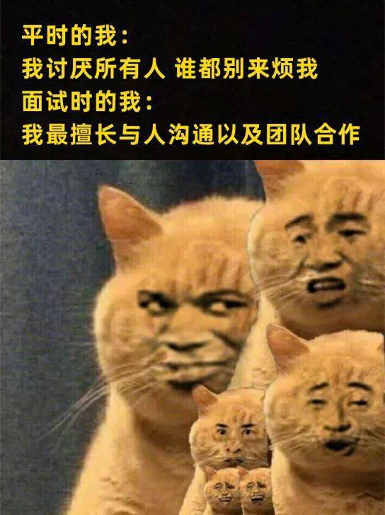 手机憋笑游戏：简单规则下的爆笑社交神器，挑战你的笑点极限