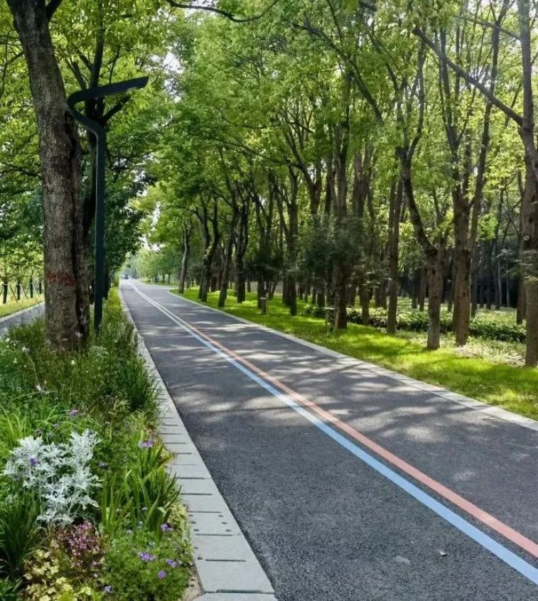 苹果手机彩蛋游戏_苹果自带手机游戏_苹果手机彩带游戏