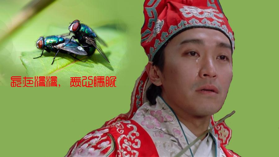 反恐24小时第八季西瓜影音_小时代3西瓜影音_危机13小时西瓜影音电影观看