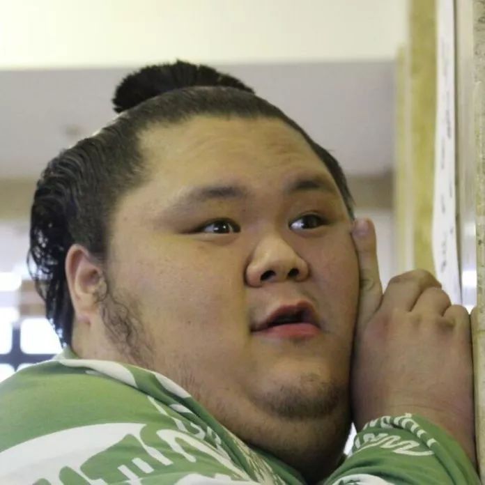 肥志百科_肥志百科下载_肥志百科在线观看