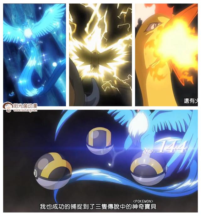 塔姆是什么意思_塔姆是什么动物_塔姆