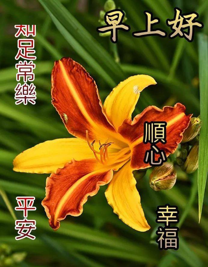 云子可信是干嘛的_云子可信_可信云子认证