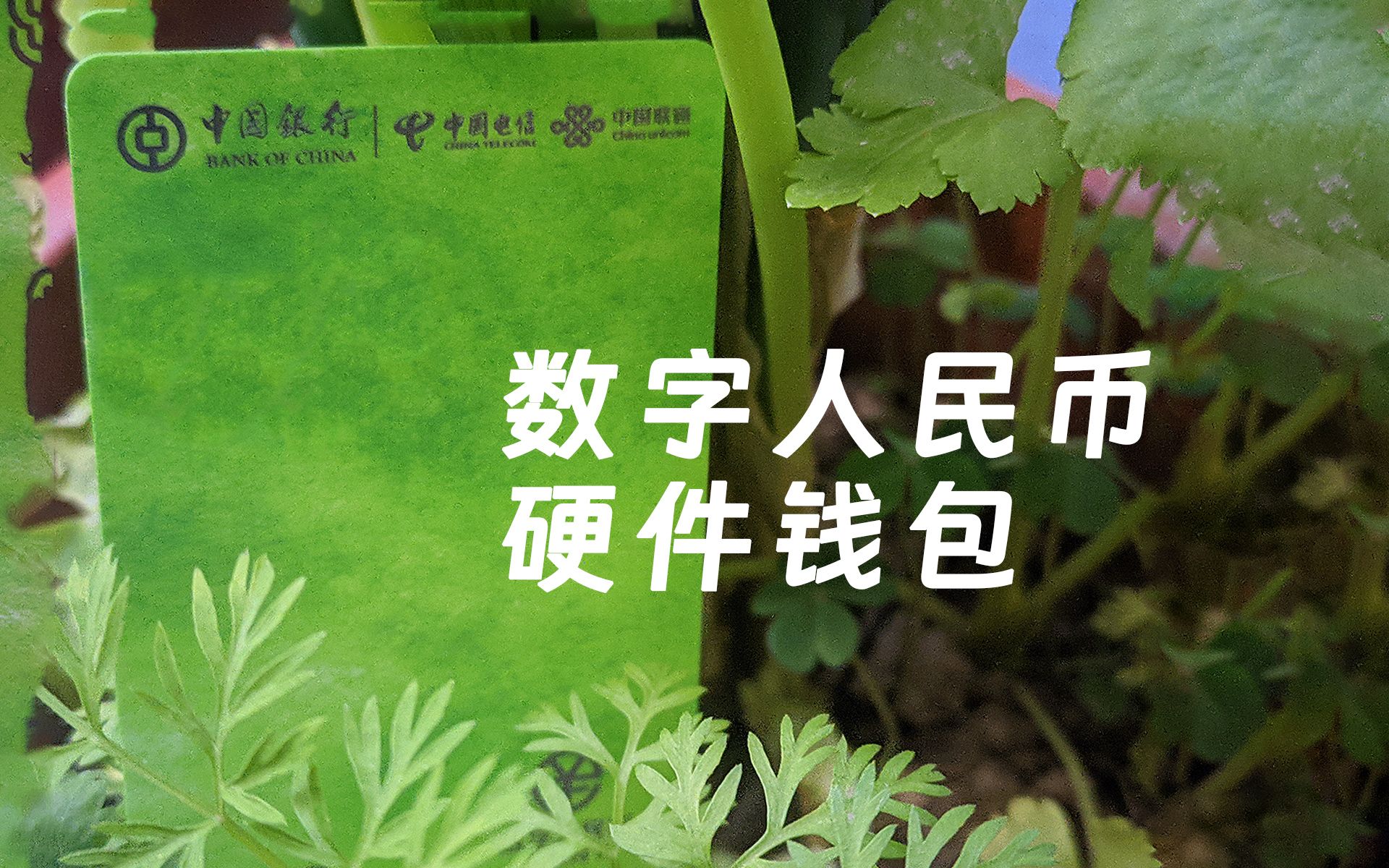 tp钱包的币怎么换人民币_比特币冷钱包是什么_1q币换10q币