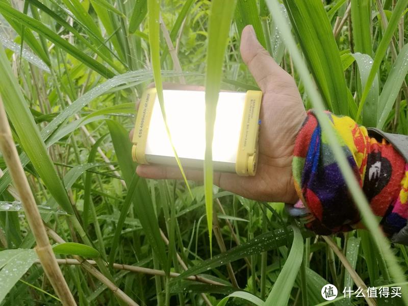 小米路由器亮蓝但是没有网_小米路由器亮蓝色没有网_小米路由器亮蓝但是没有网