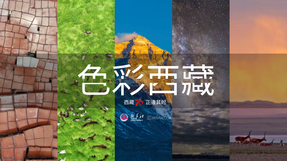 解放农奴纪念馆_农奴解放纪念日_百万农奴解放纪念日