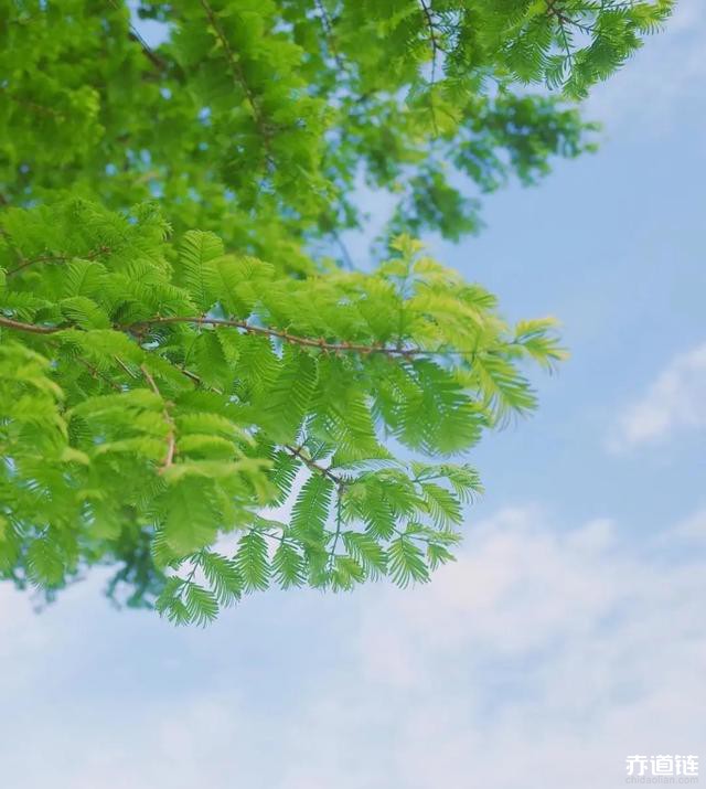 小狐狸钱包添加比特币_小狐狸比特币钱包在哪_比特币钱包中文版
