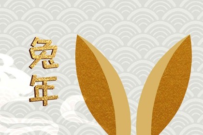 兔年是哪几年生的_兔年生是哪几年_兔年生是什么命