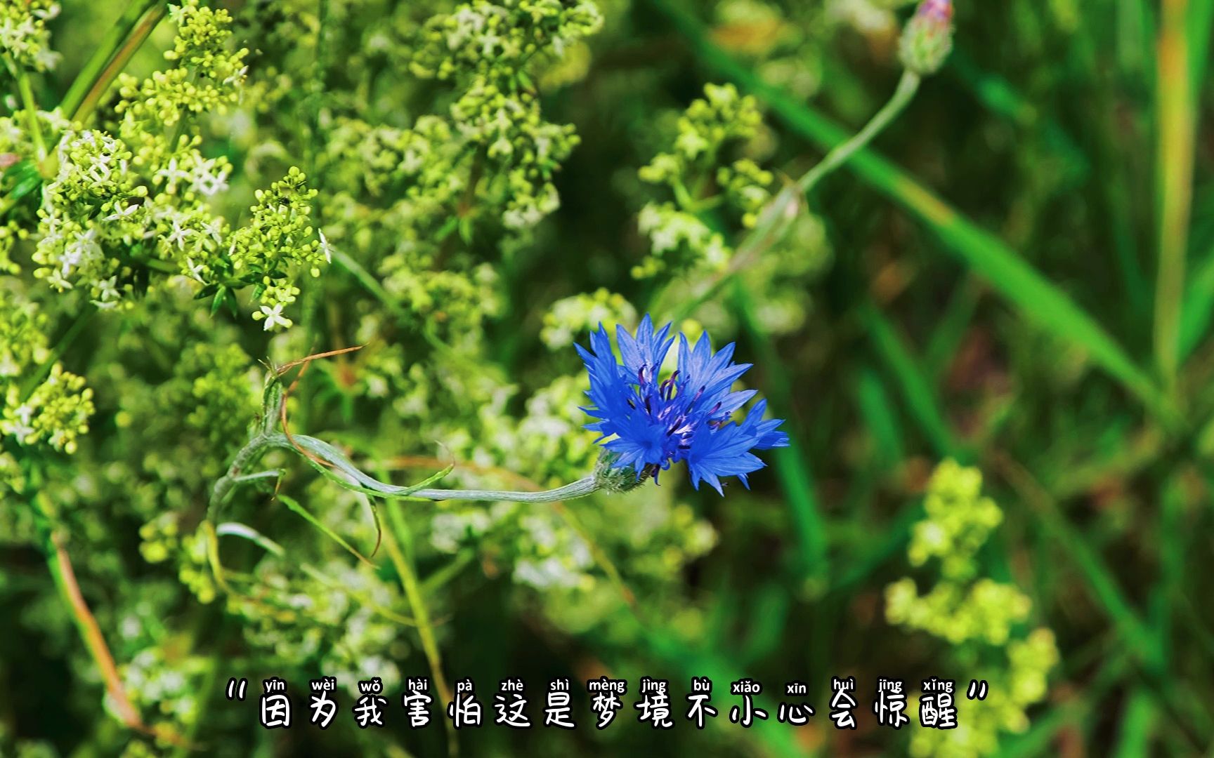 2022年3月23日_月年2023年_2025年是不是闰月年