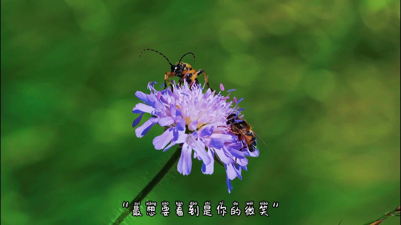 2022年3月23日_2025年是不是闰月年_月年2023年
