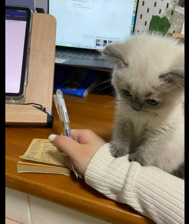 获取appid失败_获取app_appkey怎么获取