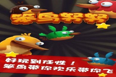 笨鸟运动 