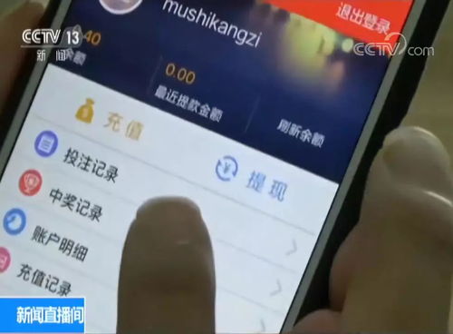杉果游戏盒子 