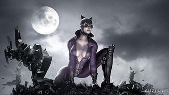 疯狂的猫女士 