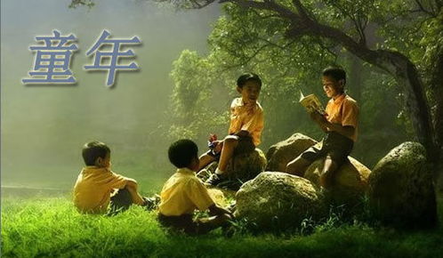 作文范文大全 