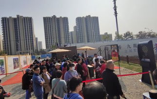 迷你农场游戏下载 