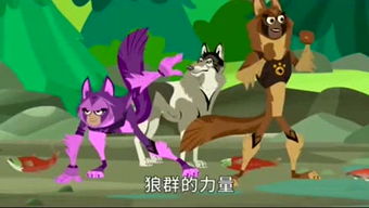 桃子视频播放器下载 
