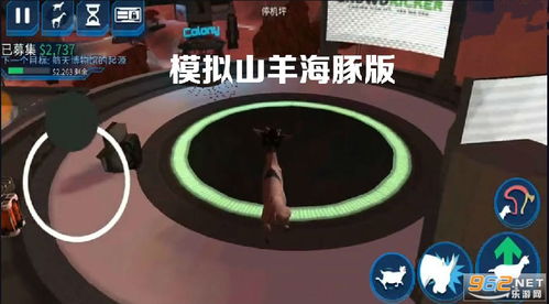 海豚山羊游戏,跨界融合的奇幻冒险之旅